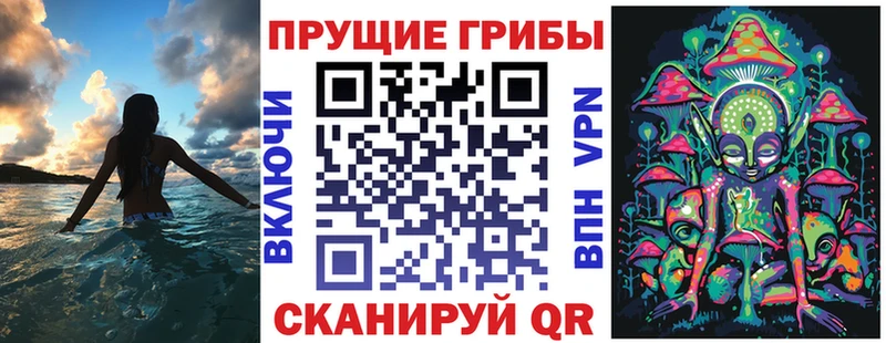 Купить где  Гагарин  Псилоцибиновые грибы Psilocybe 